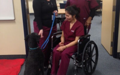 Pet Therapy Presentation