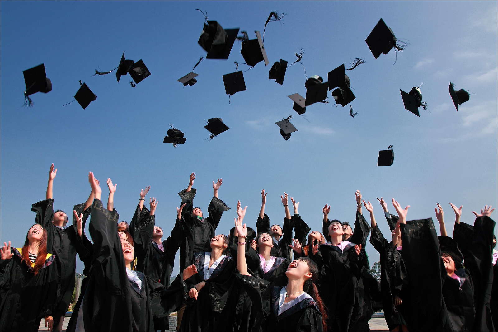 College in Alberta