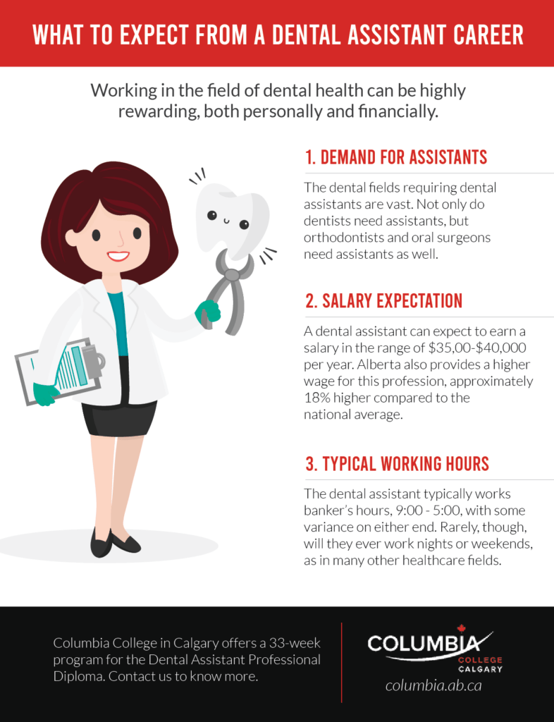 What to Expect From A Dental Assistant Career