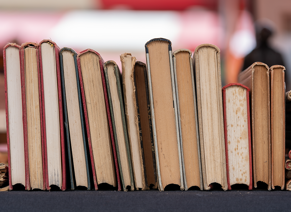 secondhand-books-on-a-stall-2024-12-07-02-54-46-utc